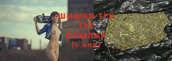 прущие грибы Баксан