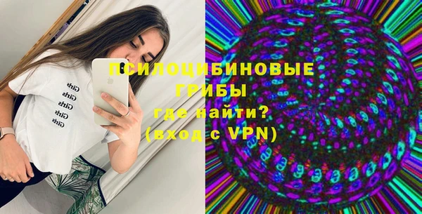 прущие грибы Баксан