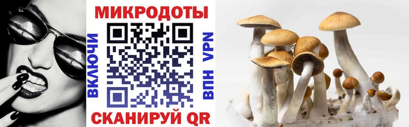 как найти закладки  Чернушка  Псилоцибиновые грибы мухоморы 