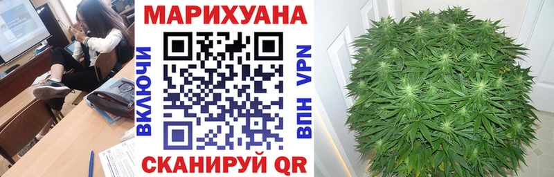 Шишки марихуана MAZAR  Чернушка 